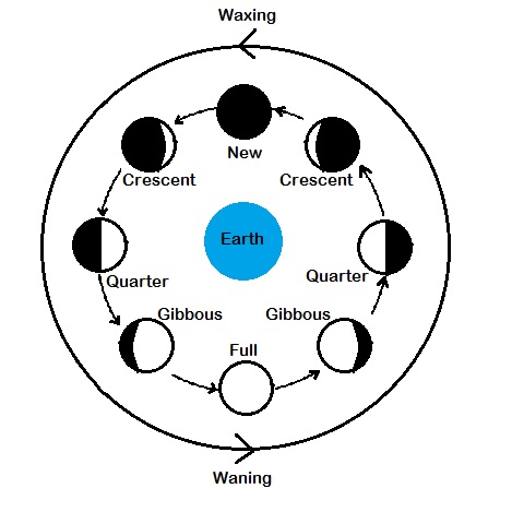 The Phases of the Moon